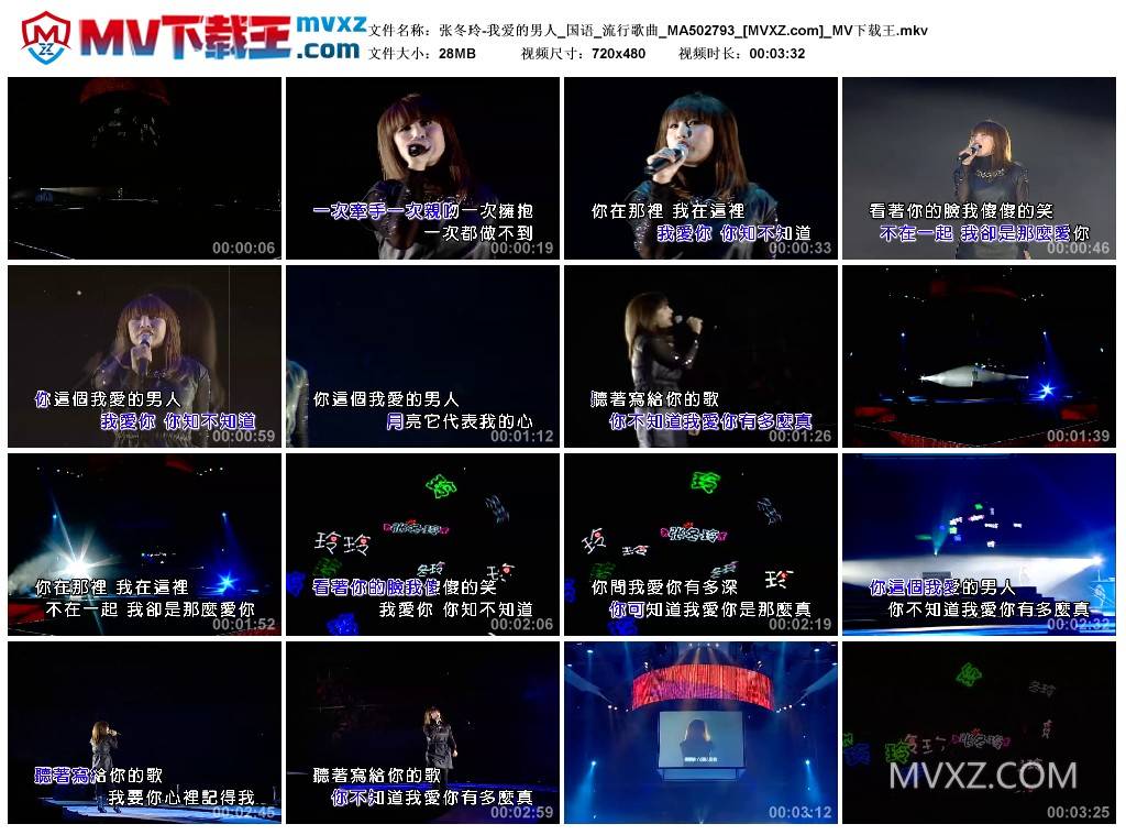 张冬玲-我爱的男人_国语_流行歌曲_MA502793